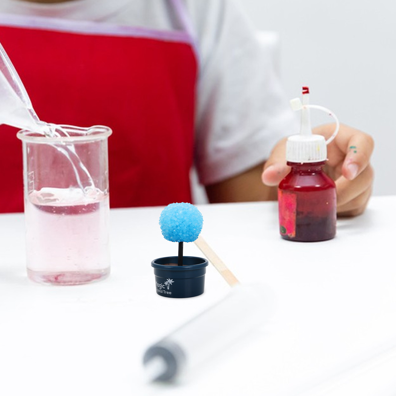 Crystal Growing Kit - 1Set Crystal DIY Science Kit Fast