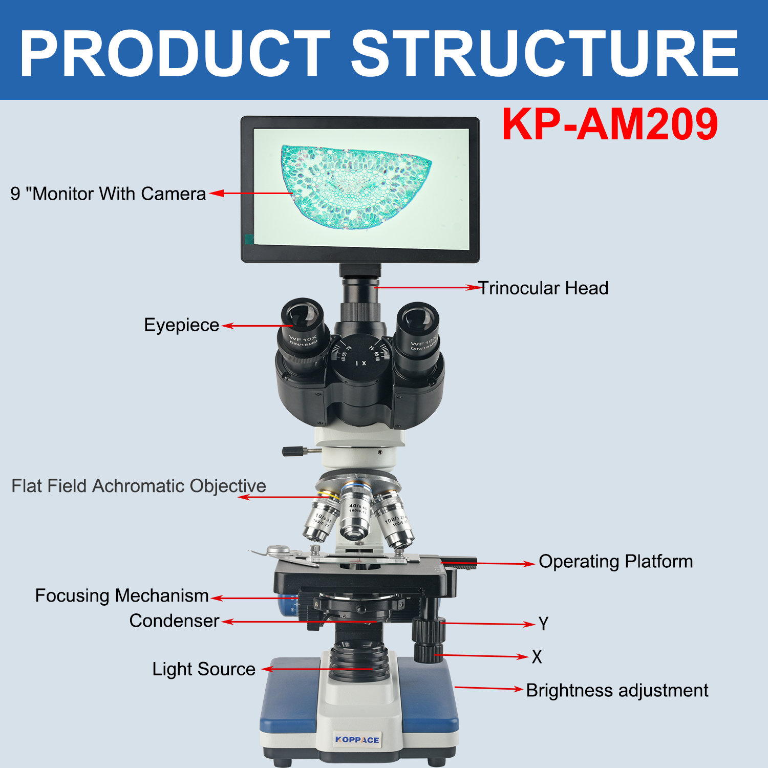 KOPPACE 40X-2500X Electron Com - Microscope Compound 40X recension och pris