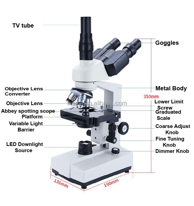 Professional binocular compoun - Microscope Compound 40X recension och pris