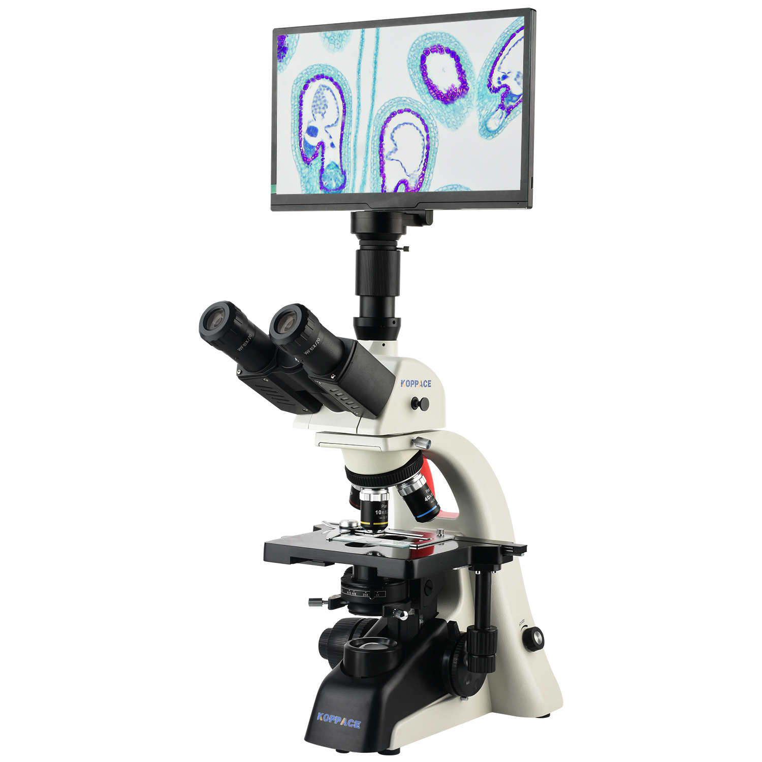 KOPPACE 40X-1600X Electron Com - Microscope Compound 40X recension och pris