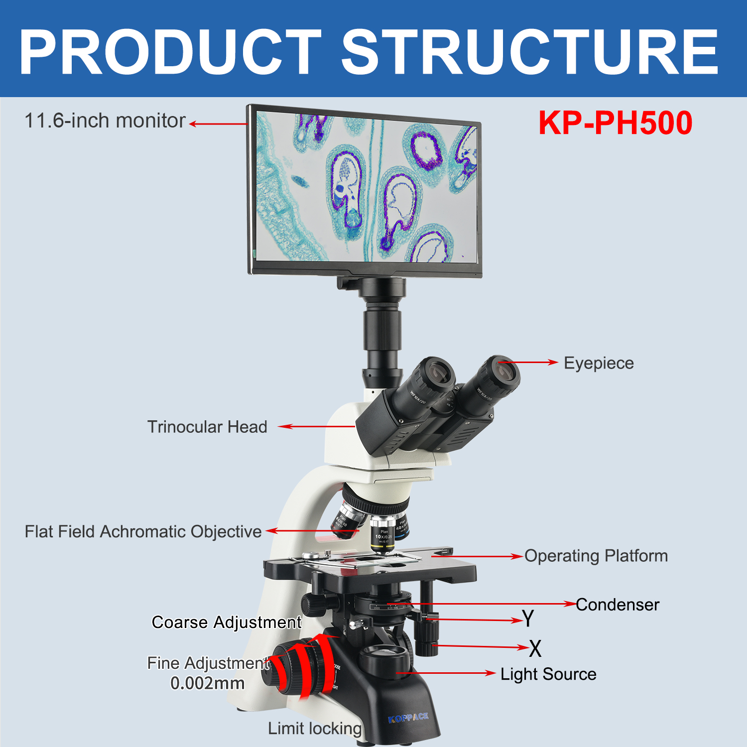 KOPPACE 40X-1600X Electron Com - Microscope Compound 40X recension och pris